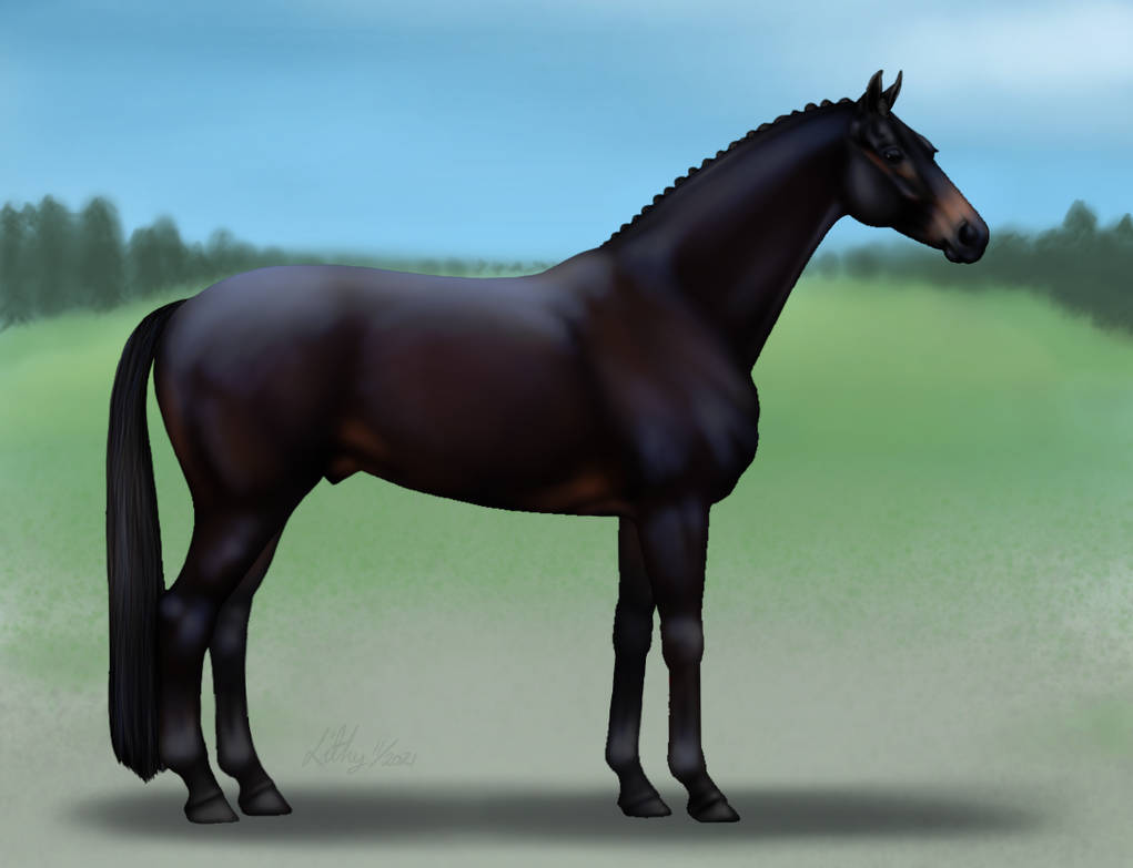 KWPN Stallion By VirtualLithy On DeviantArt