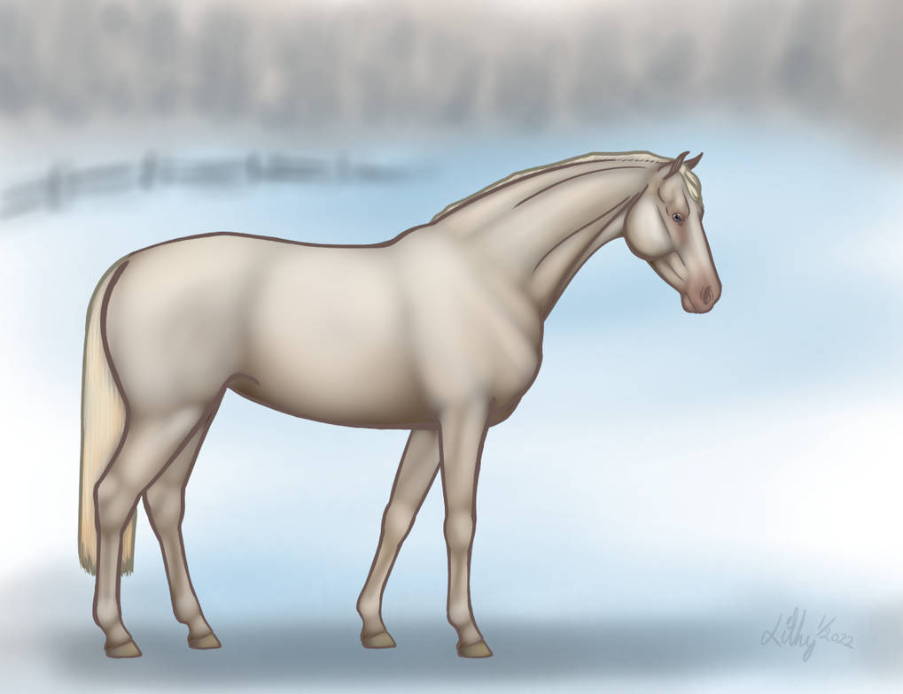 Cremello Warmblood By VirtualLithy On DeviantArt Cremello Warmblood By VirtualLithy On DeviantArt