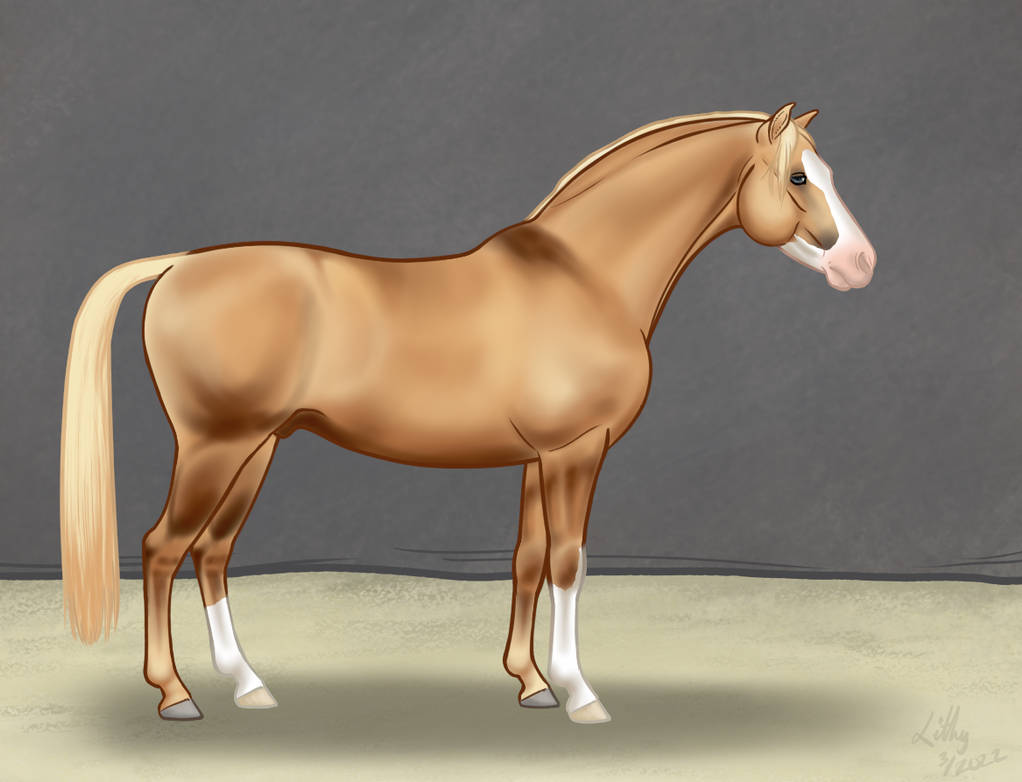 Welsh Part Bred By VirtualLithy On DeviantArt