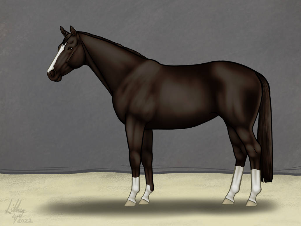 Black Mare By VirtualLithy On DeviantArt