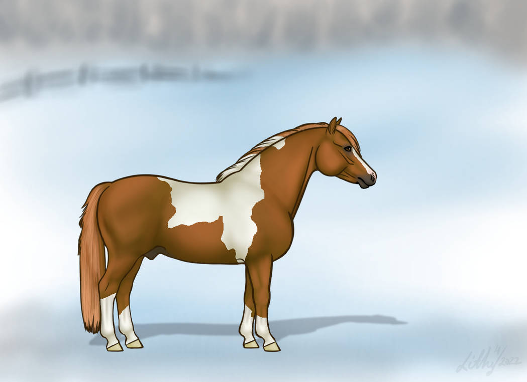 Pony Mix By VirtualLithy On DeviantArt