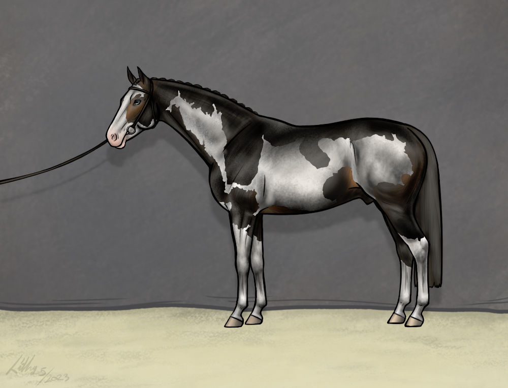 Bay overo warmblood by VirtualLithy on DeviantArt