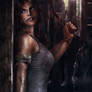 Tomb Raider Reborn 2013