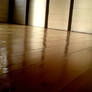 Floor Varnish