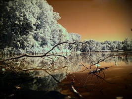 IR Lake