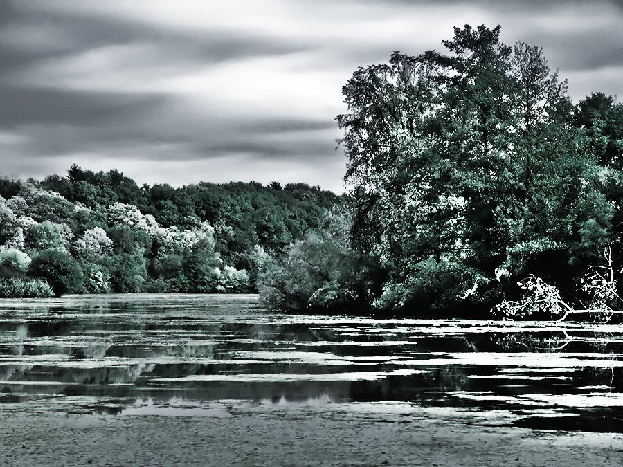 HDR IR River