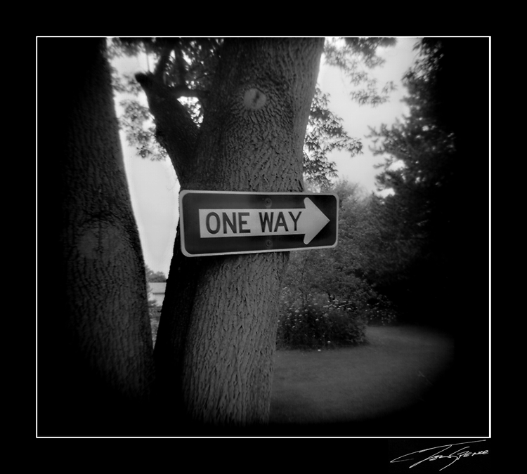 holga one way