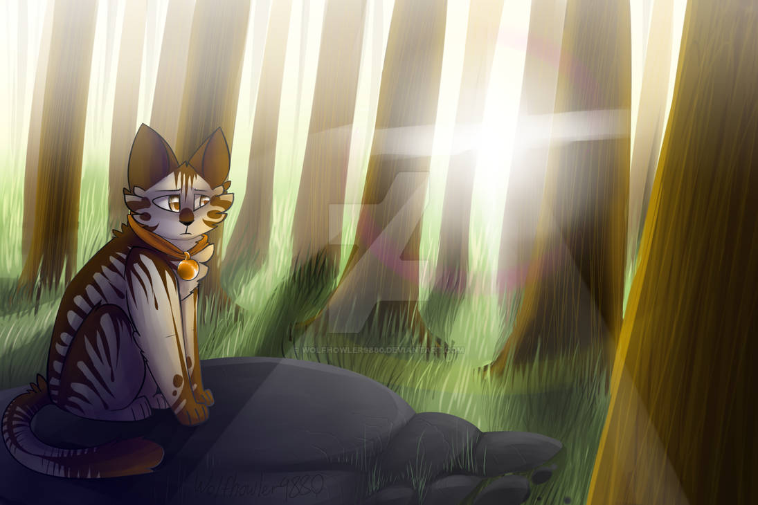 Dawn sorrow by Wolfhowler9880 on DeviantArt