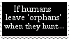 Humans leave orphans?
