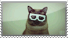 skifcha - Dubstep Hipster Cat by HavickArt