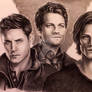 Team Free Will