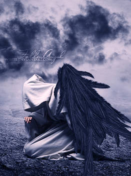 Fallen angel ~