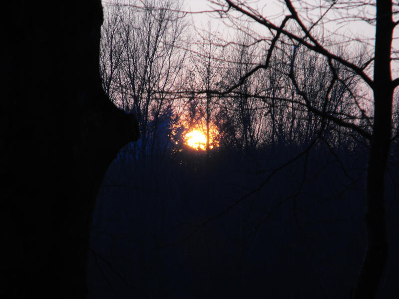 Winter Sun