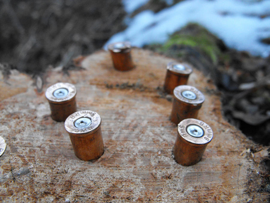 Shells in a tree