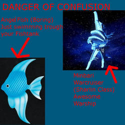 Danger of Confusion II