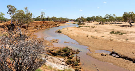 Life blood of the Murchison