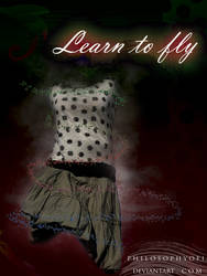 Learn to fly