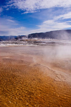 Mammoth Hot Springs II