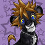 sora the lion??