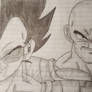 Vegeta and Nappa