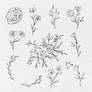 Free Floral Lines Cliparts