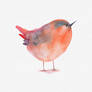 Blue Sparrow Bird Watercolor Clipart PNG