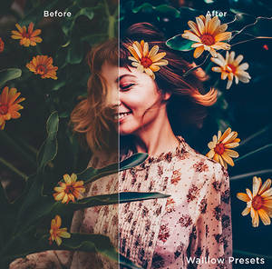 Lightroom Desktop and Mobile Presets