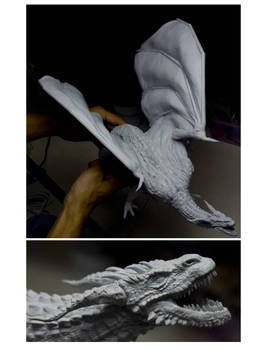 dragon printed