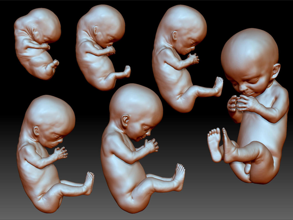 Babies1