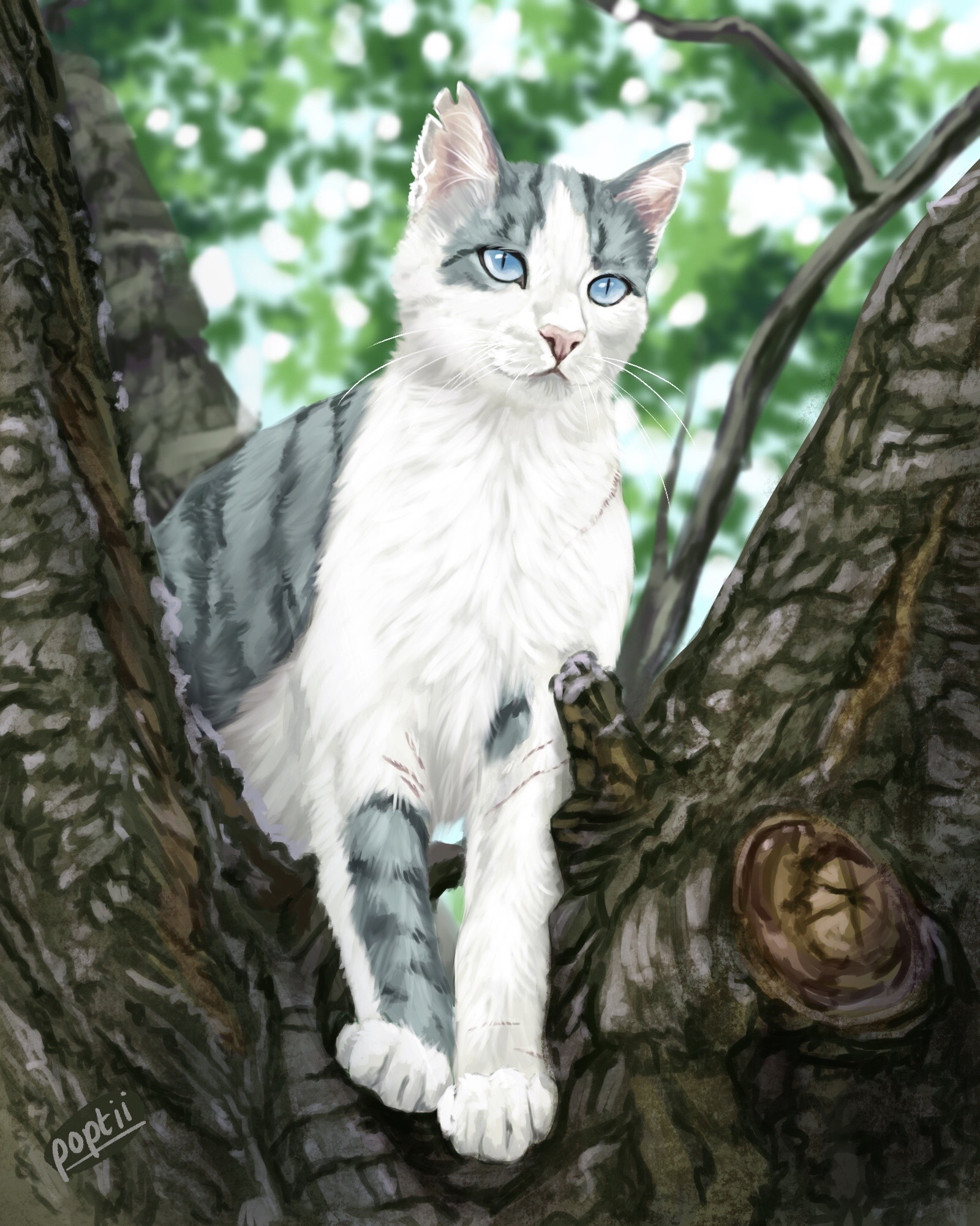 Ivypool by panops on DeviantArt