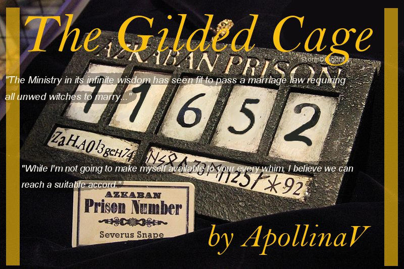 The Gilded Cage by MS8008 on DeviantArt