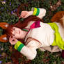 Spice and Wolf I
