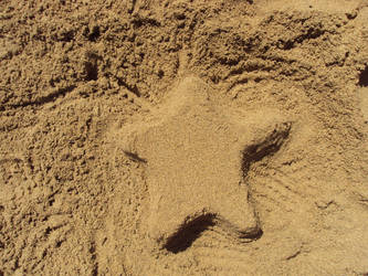 Starfish Sandcastle