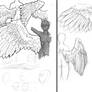 More references: Wings