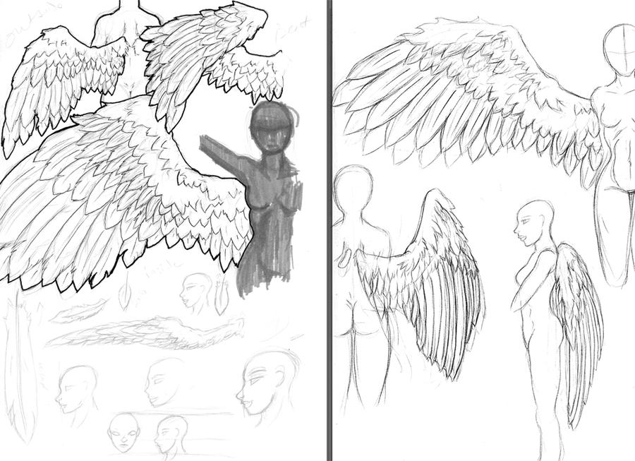 Dynamic Wing Reference More references: Wings by SamusFairchild on DeviantArt