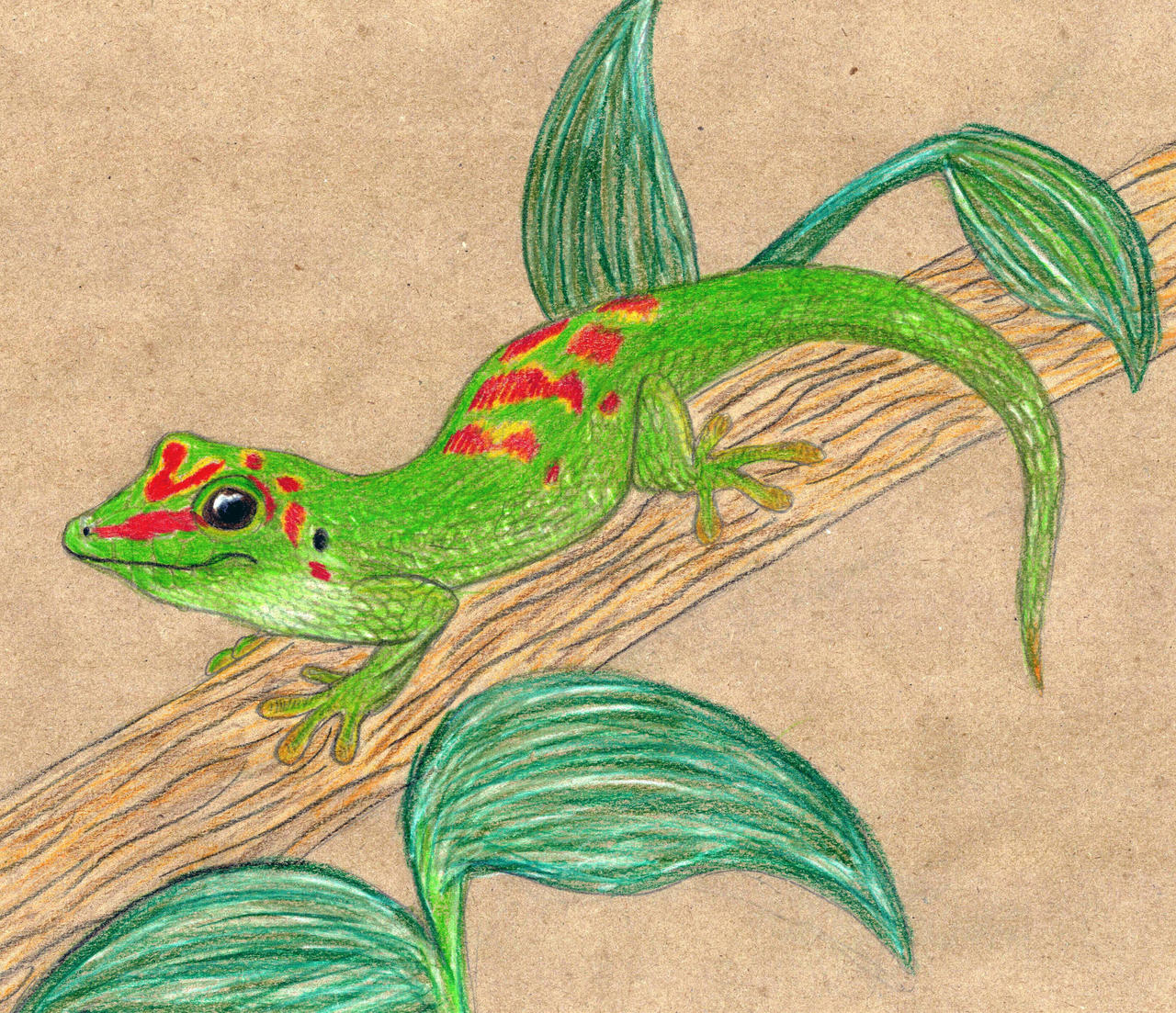 Gecko Deviantart Madagascar diurnal gecko by MicromirOfTheNorth on DeviantArt