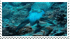 Hypno cuttlefish stamp