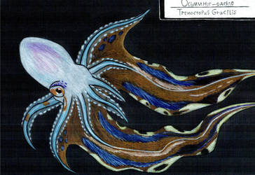 Octopus week: Blanket octopus (female) by EyweenaPterus