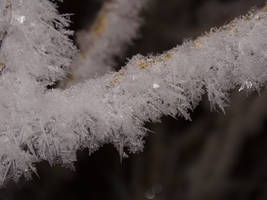 Ice crystals