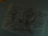 My lion Spike from feral heart! :D