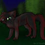 Hollyleaf xx.