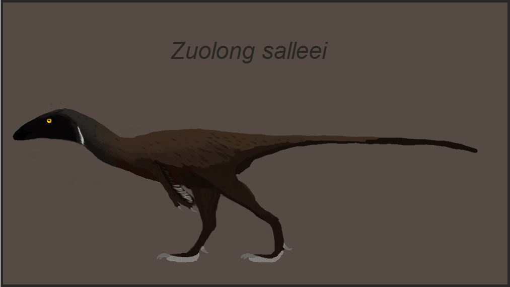 Zoulai Script Zuolong salleei by casielles on DeviantArt