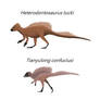 Heterodontosaurus and tianyulong