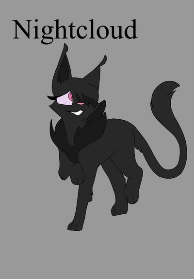 Nightcloud ref by pringoart on DeviantArt