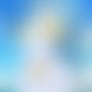 Golden Week Snowcone