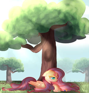 Fluttershy