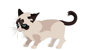 Grumpy Cat animation