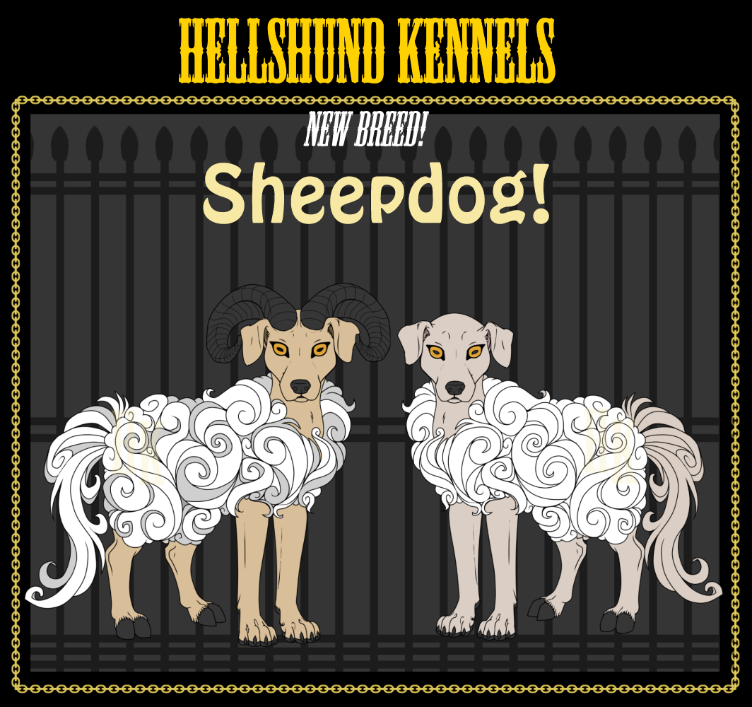 HK- New Breed! Sheepdog