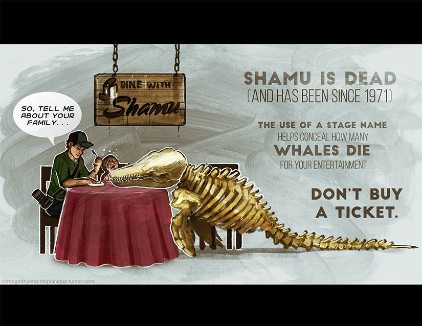 Dine with Shamu