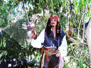 Jack Sparrow II